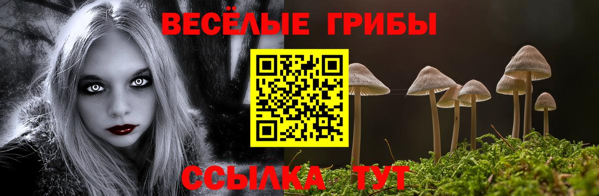 Магнитогорск  Псилоцибиновые грибы MAGIC MUSHROOMS  Вход с VPN  Псилоцибиновые грибы мухоморы 